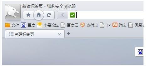 猎豹浏览器怎么看历史记录 三联