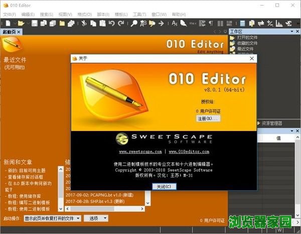 十六进制编辑器(010 Editor)