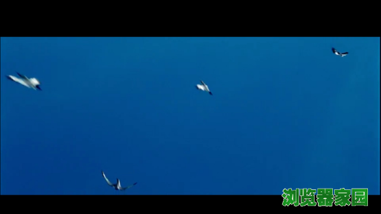 800浏览器怎么样 800手机浏览器使用评测