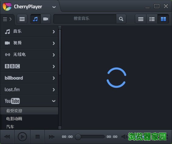 CherryPlayer(樱桃播放器)